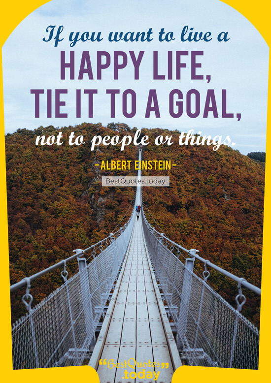 Goal And Life Quote by Albert Einstein 