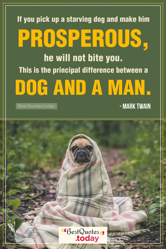 Philosophy Quote by Mark Twain