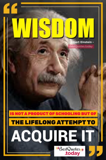 Wisdom Quote by Albert Einstein