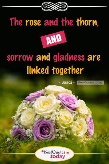 Together Quote by Saadi