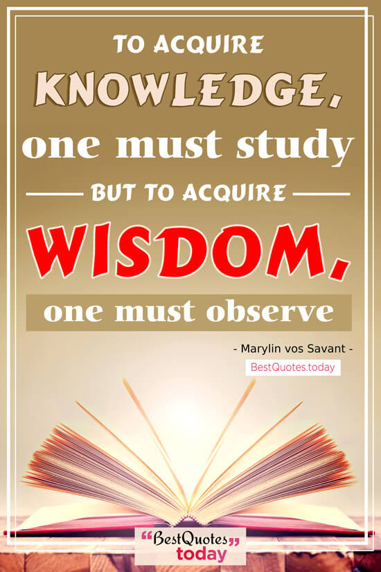 Wisdom & Knowledge Quote by Marylin vos Savant