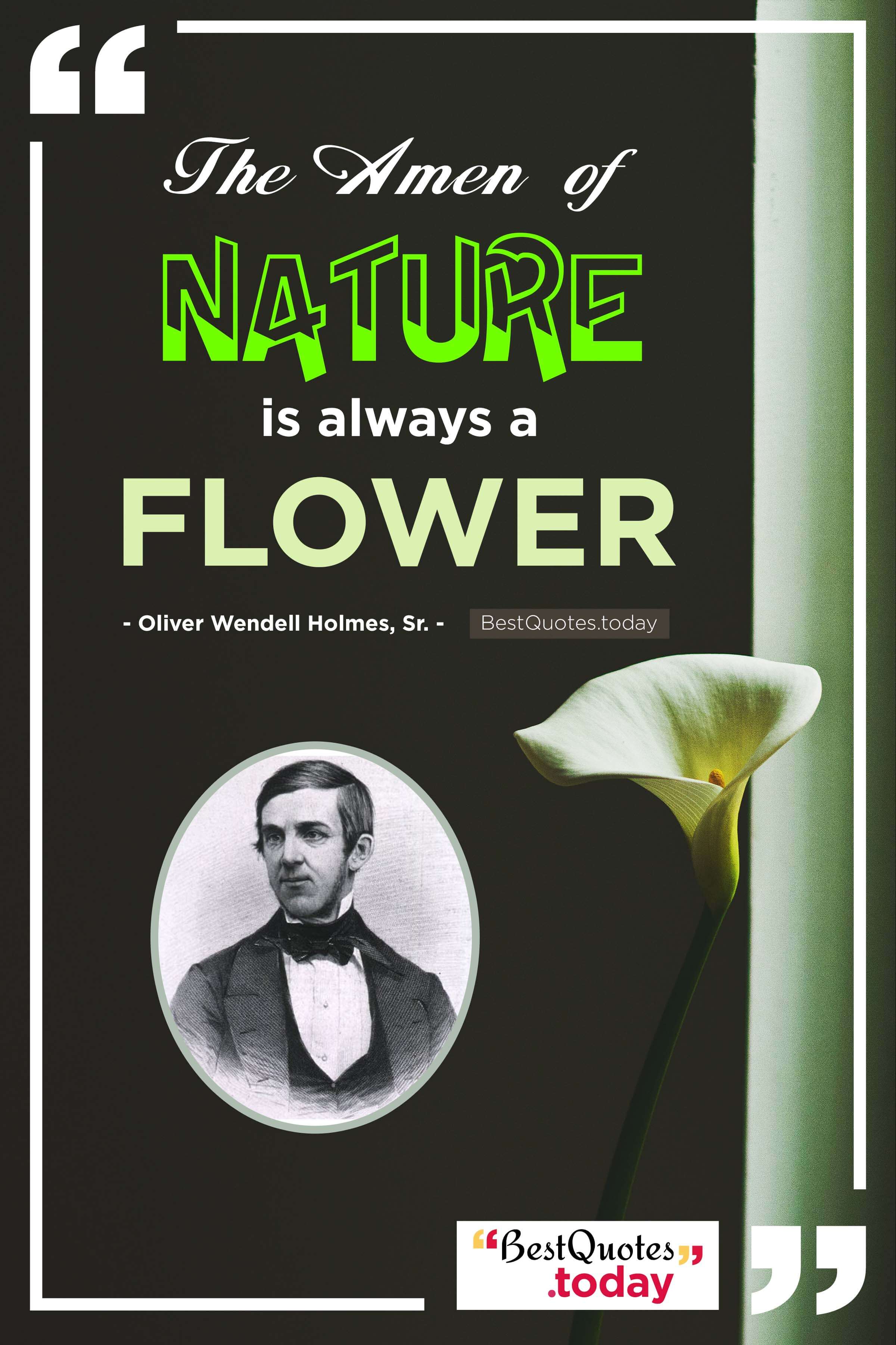 Nature Quote by Oliver Wendell Holmes, Sr.